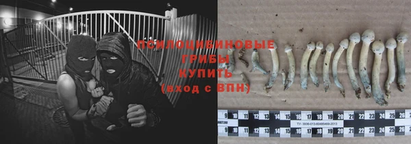 ГАЛЛЮЦИНОГЕННЫЕ ГРИБЫ Ступино